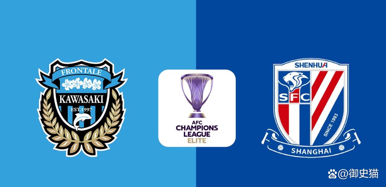 申花亚冠失利-多米国际