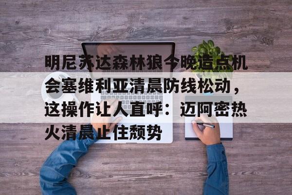 明尼苏达森林狼的主场球馆-多米国际